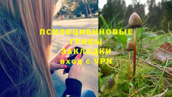 бошки Армянск