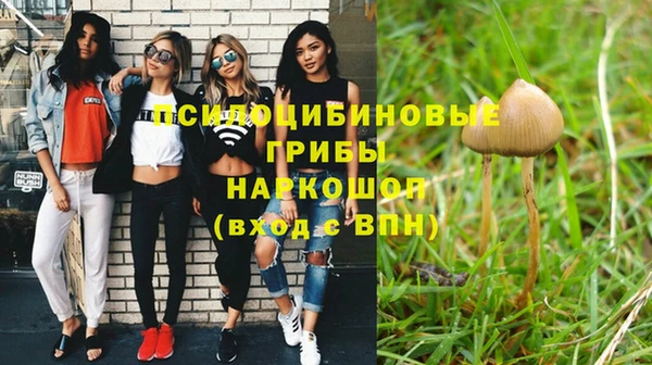 бошки Армянск