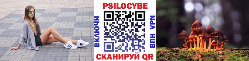 Псилоцибиновые грибы Psilocybe  Купить  Морозовск 